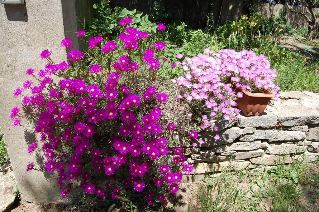 Вилла Agriturismo Furfullanu Nurallao Экстерьер фото